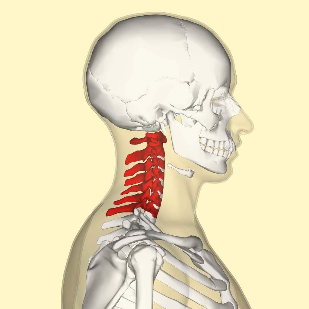 An Introduction To Upper Cervical Chiropractic Axis Chiropractic 6632